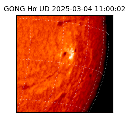 gong - 2025-03-04T11:00:02