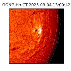 gong - 2025-03-04T13:00:42