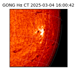 gong - 2025-03-04T16:00:42