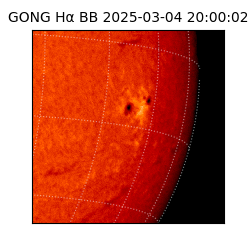 gong - 2025-03-04T20:00:02