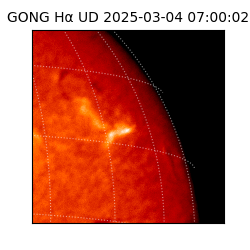 gong - 2025-03-04T07:00:02