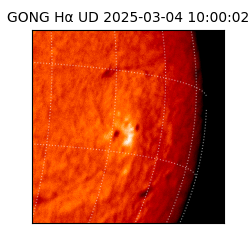 gong - 2025-03-04T10:00:02