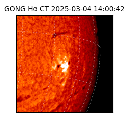 gong - 2025-03-04T14:00:42