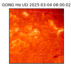 gong - 2025-03-04T08:00:02
