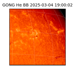 gong - 2025-03-04T19:00:02