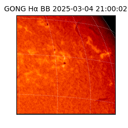 gong - 2025-03-04T21:00:02