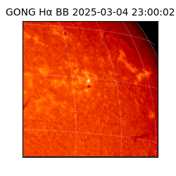 gong - 2025-03-04T23:00:02