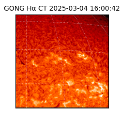 gong - 2025-03-04T16:00:42
