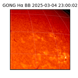 gong - 2025-03-04T23:00:02