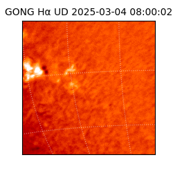 gong - 2025-03-04T08:00:02