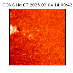 gong - 2025-03-04T14:00:42