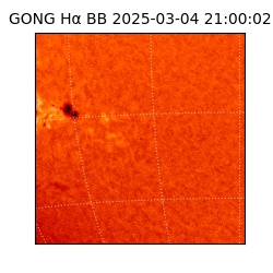 gong - 2025-03-04T21:00:02