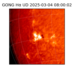 gong - 2025-03-04T08:00:02