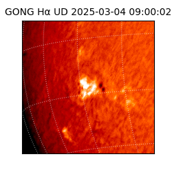 gong - 2025-03-04T09:00:02