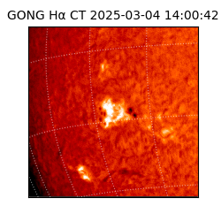 gong - 2025-03-04T14:00:42