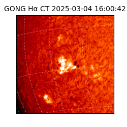 gong - 2025-03-04T16:00:42
