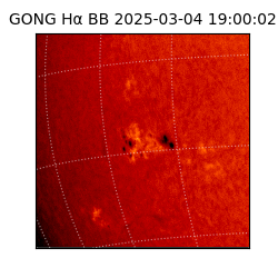 gong - 2025-03-04T19:00:02