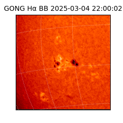 gong - 2025-03-04T22:00:02