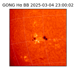 gong - 2025-03-04T23:00:02