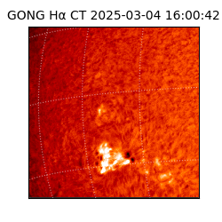 gong - 2025-03-04T16:00:42
