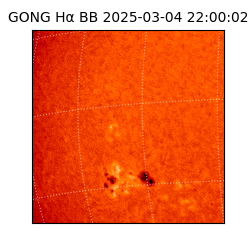 gong - 2025-03-04T22:00:02