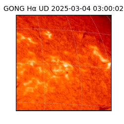 gong - 2025-03-04T03:00:02