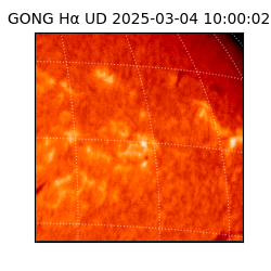 gong - 2025-03-04T10:00:02