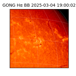 gong - 2025-03-04T19:00:02