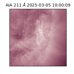 saia - 2025-03-05T10:00:09.632000