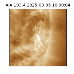saia - 2025-03-05T10:00:04.843000