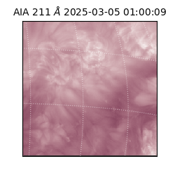 saia - 2025-03-05T01:00:09.632000