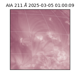 saia - 2025-03-05T01:00:09.632000
