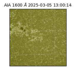 saia - 2025-03-05T13:00:14.125000