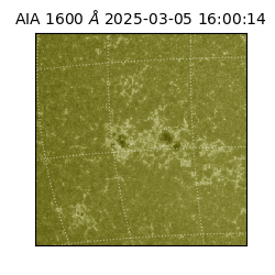 saia - 2025-03-05T16:00:14.132000