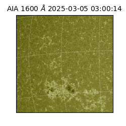 saia - 2025-03-05T03:00:14.125000