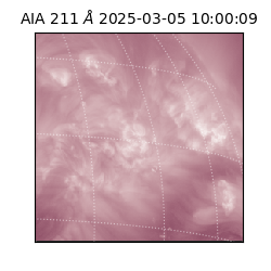 saia - 2025-03-05T10:00:09.632000