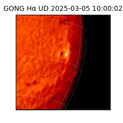 gong - 2025-03-05T10:00:02