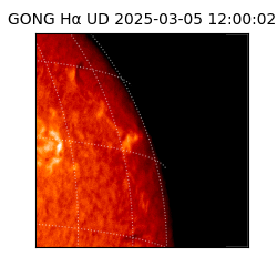 gong - 2025-03-05T12:00:02