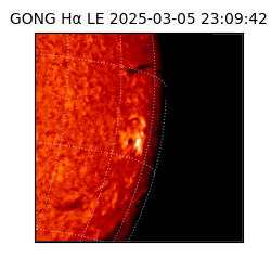 gong - 2025-03-05T23:09:42