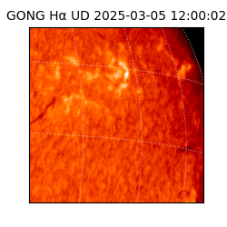 gong - 2025-03-05T12:00:02