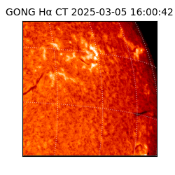 gong - 2025-03-05T16:00:42
