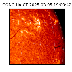 gong - 2025-03-05T19:00:42
