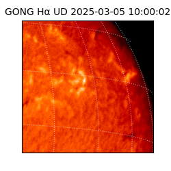 gong - 2025-03-05T10:00:02