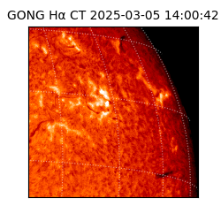 gong - 2025-03-05T14:00:42