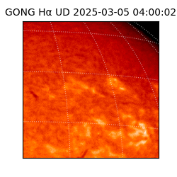 gong - 2025-03-05T04:00:02
