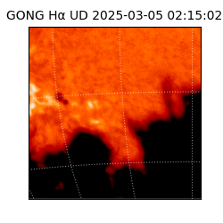 gong - 2025-03-05T02:15:02