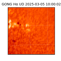 gong - 2025-03-05T10:00:02