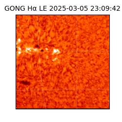 gong - 2025-03-05T23:09:42