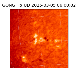 gong - 2025-03-05T06:00:02
