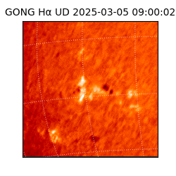 gong - 2025-03-05T09:00:02